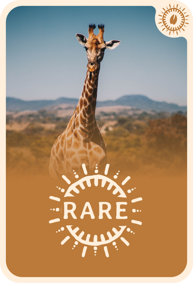 fahlo tracking card