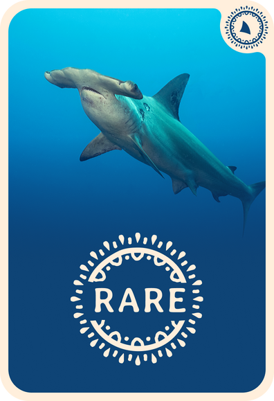 fahlo tracking card
