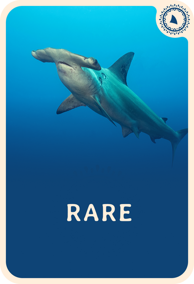 fahlo tracking card