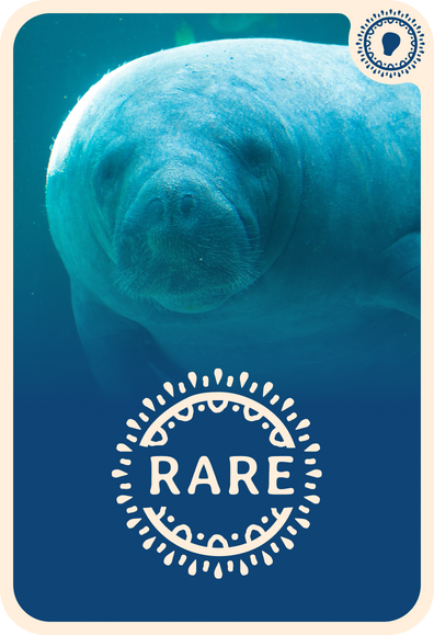 fahlo tracking card
