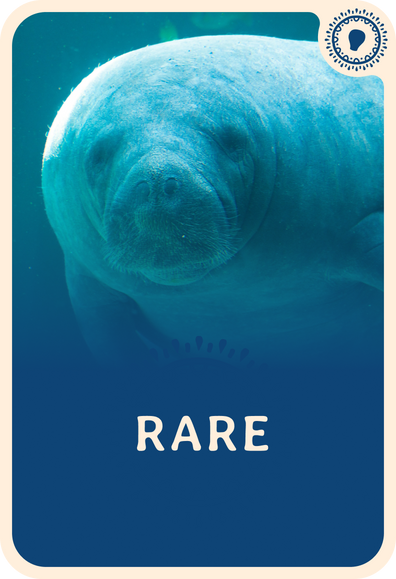 fahlo tracking card