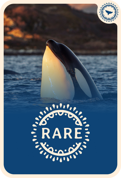 fahlo tracking card