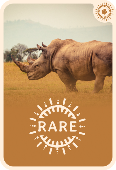 fahlo tracking card