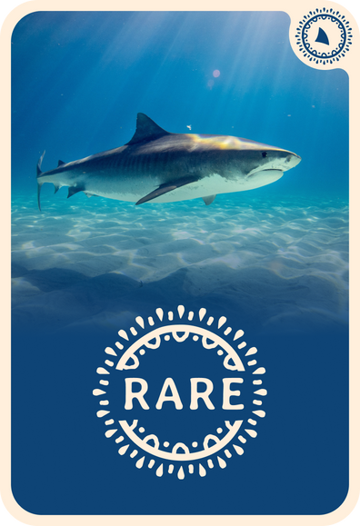fahlo tracking card