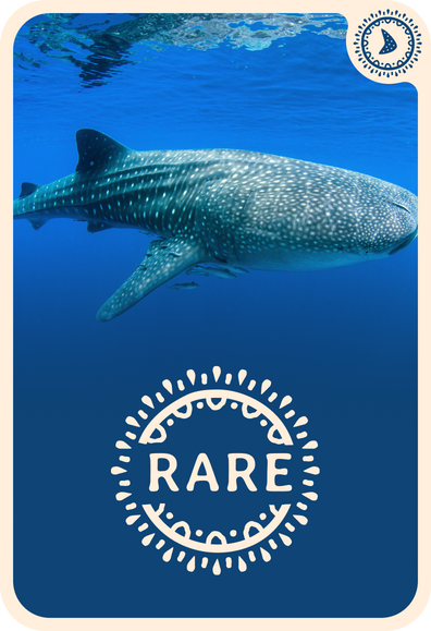 fahlo tracking card