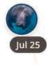 map marker