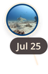 map marker