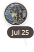 map marker