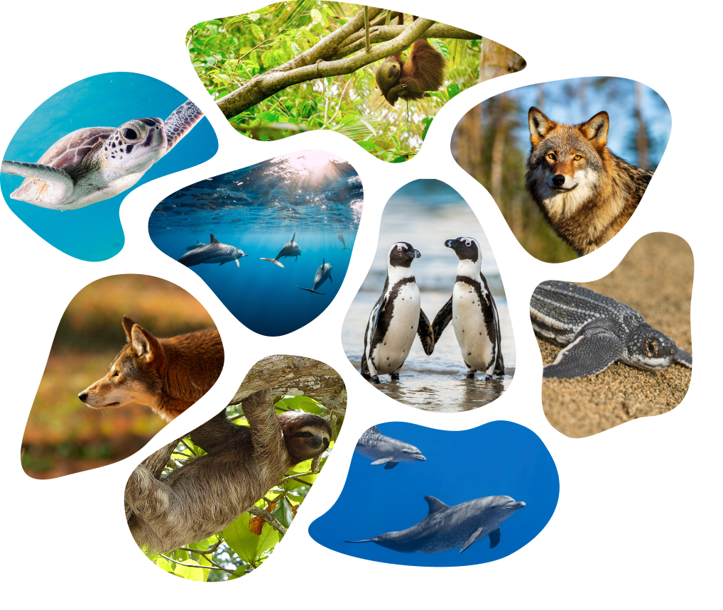 common question image