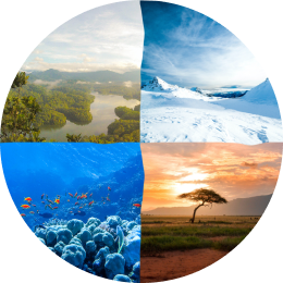 detail caption image two