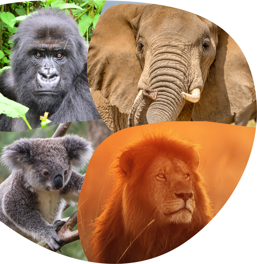 product mission left image