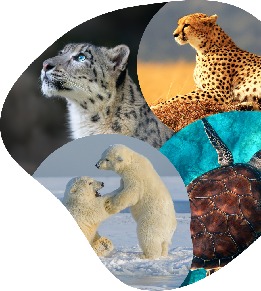 product mission right image