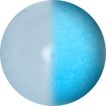 Aqua Glow