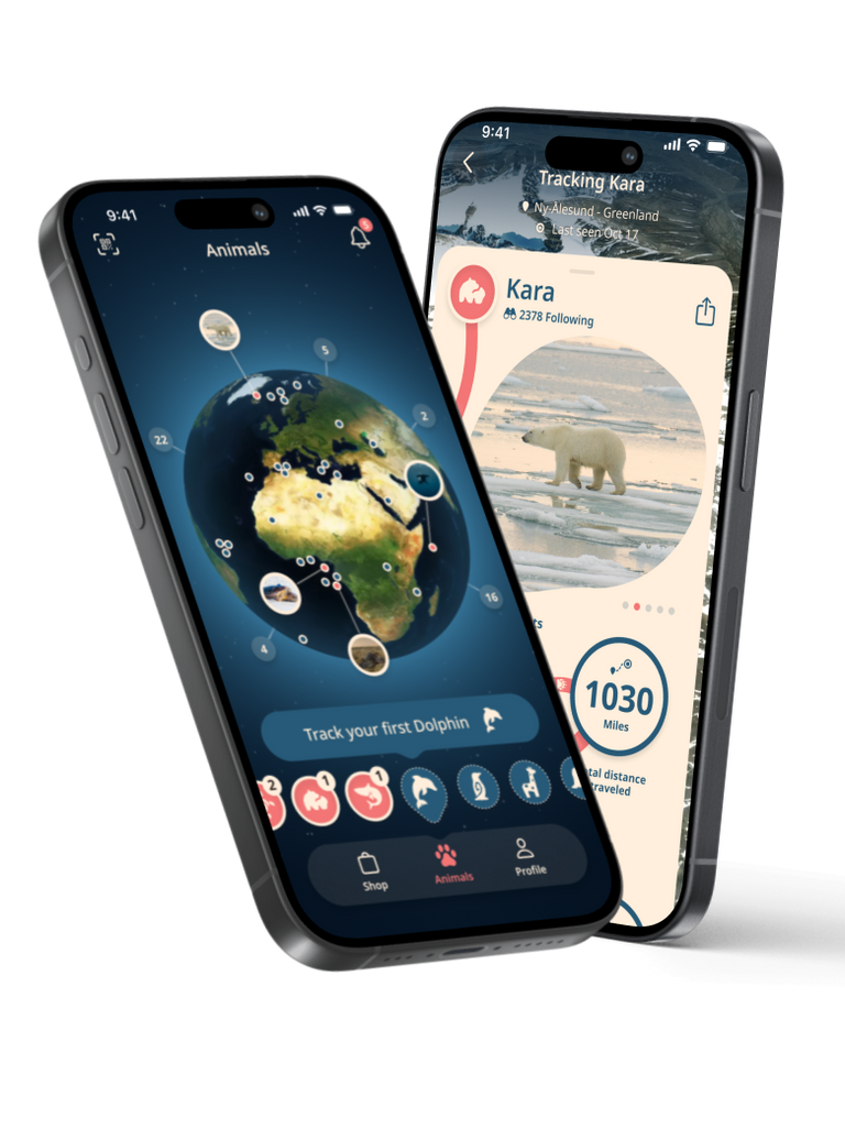 Fahlo Animal Tracking Bracelets - Home App Download Mobile Phones 768x 