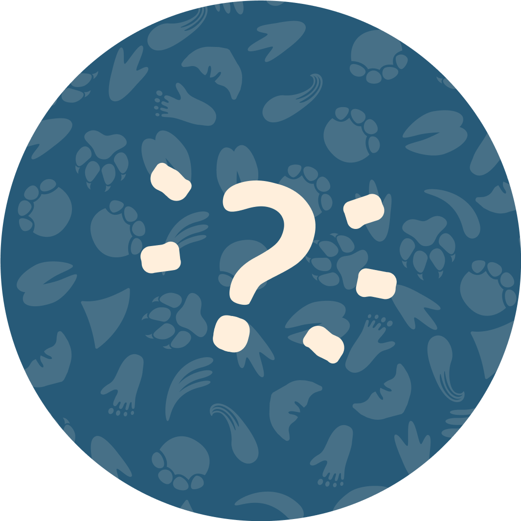 common question image