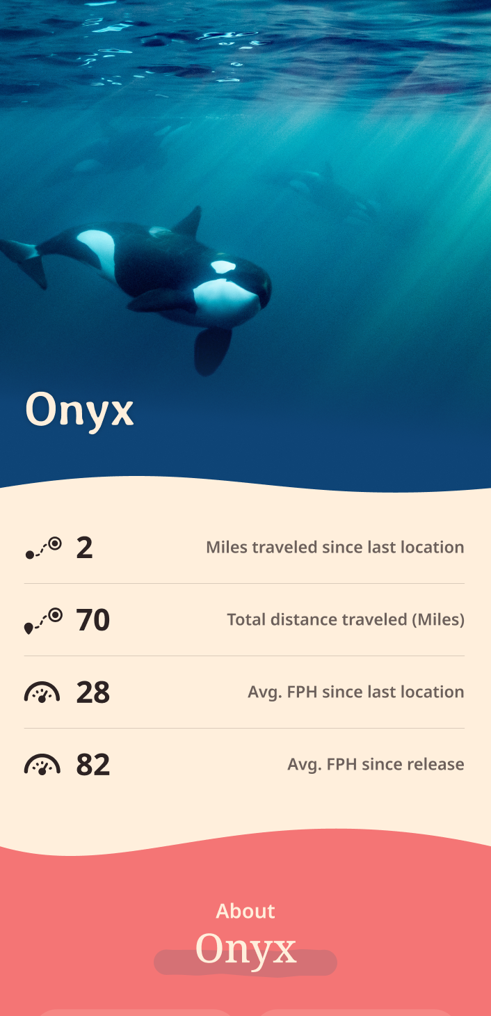orca app about content body image