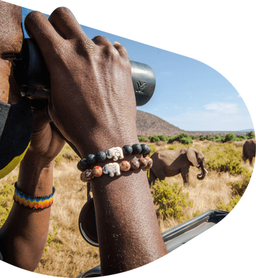 The Expedition Bracelet