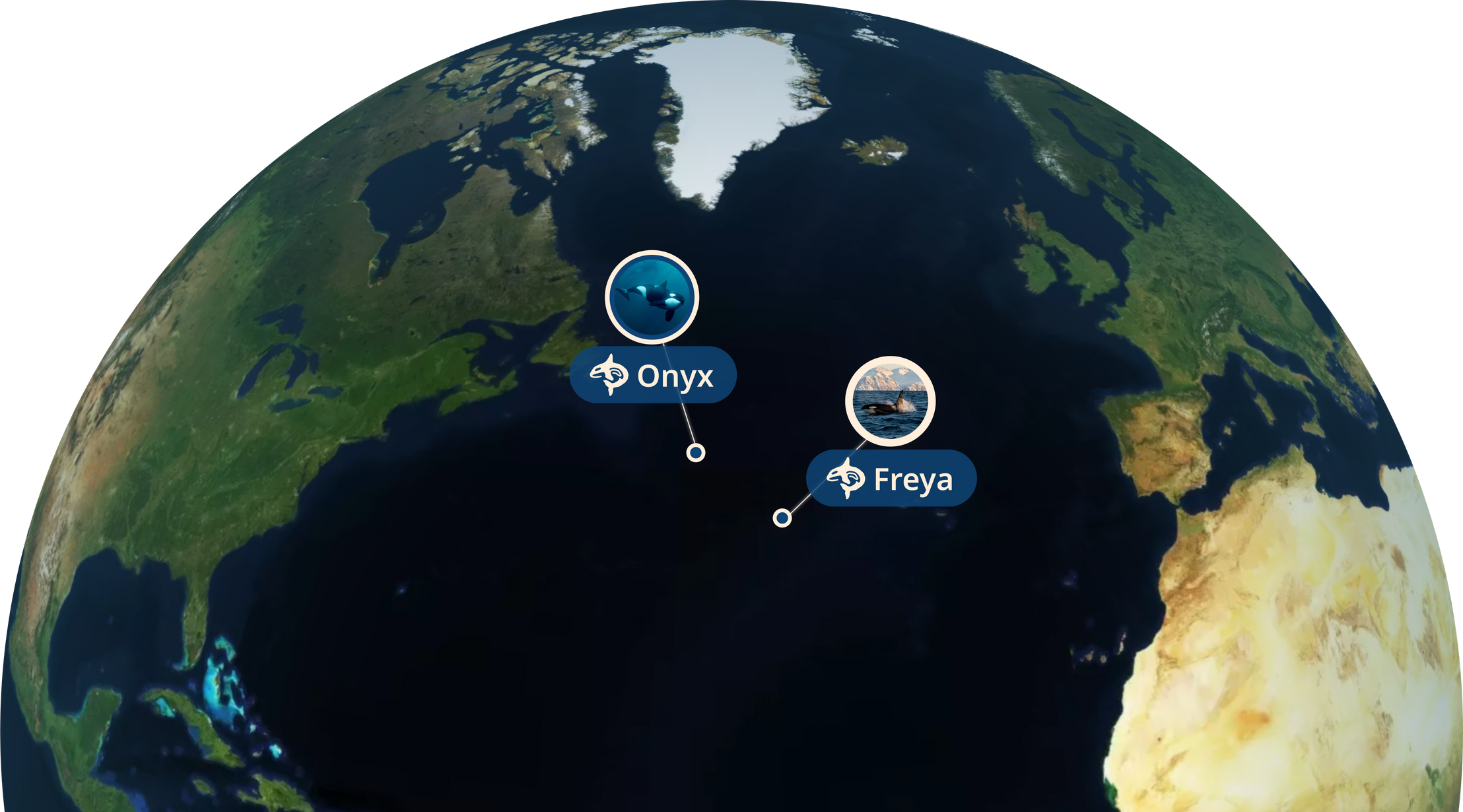 Mission Map