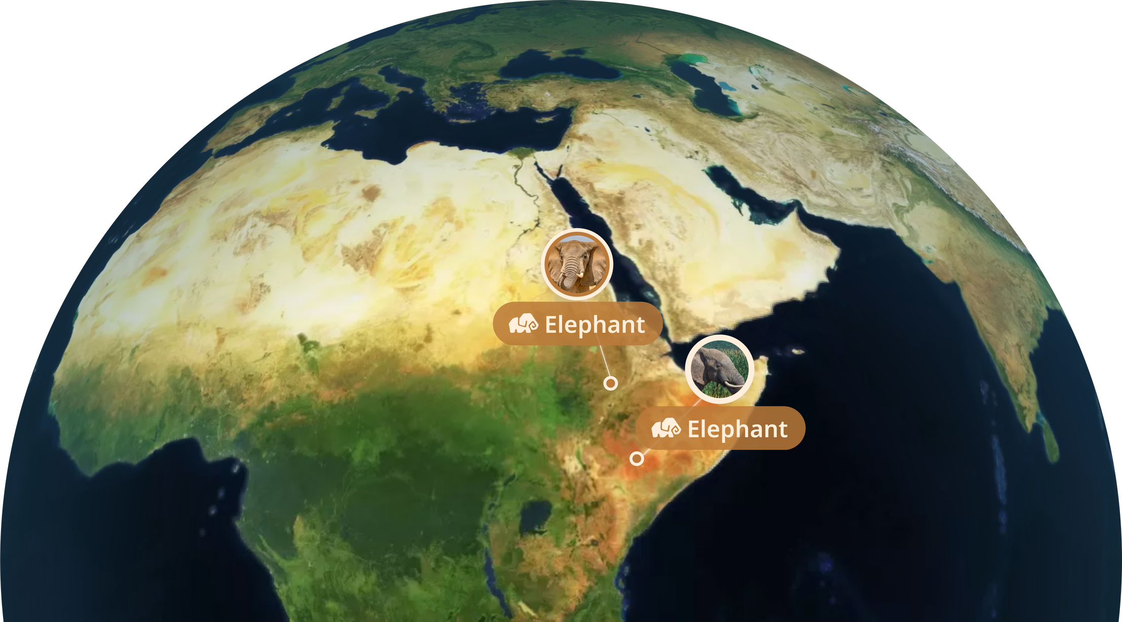 Mission Map