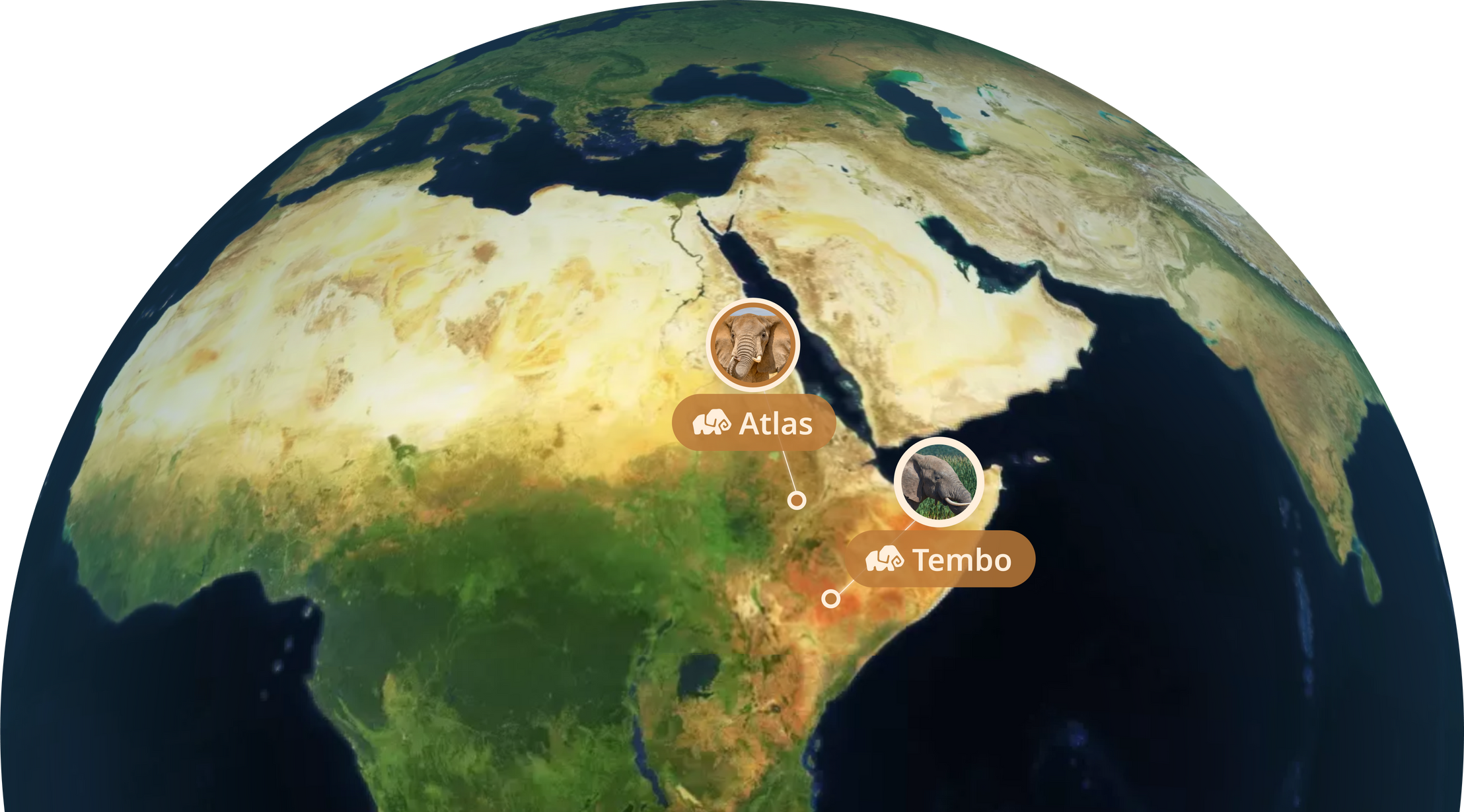 Mission Map
