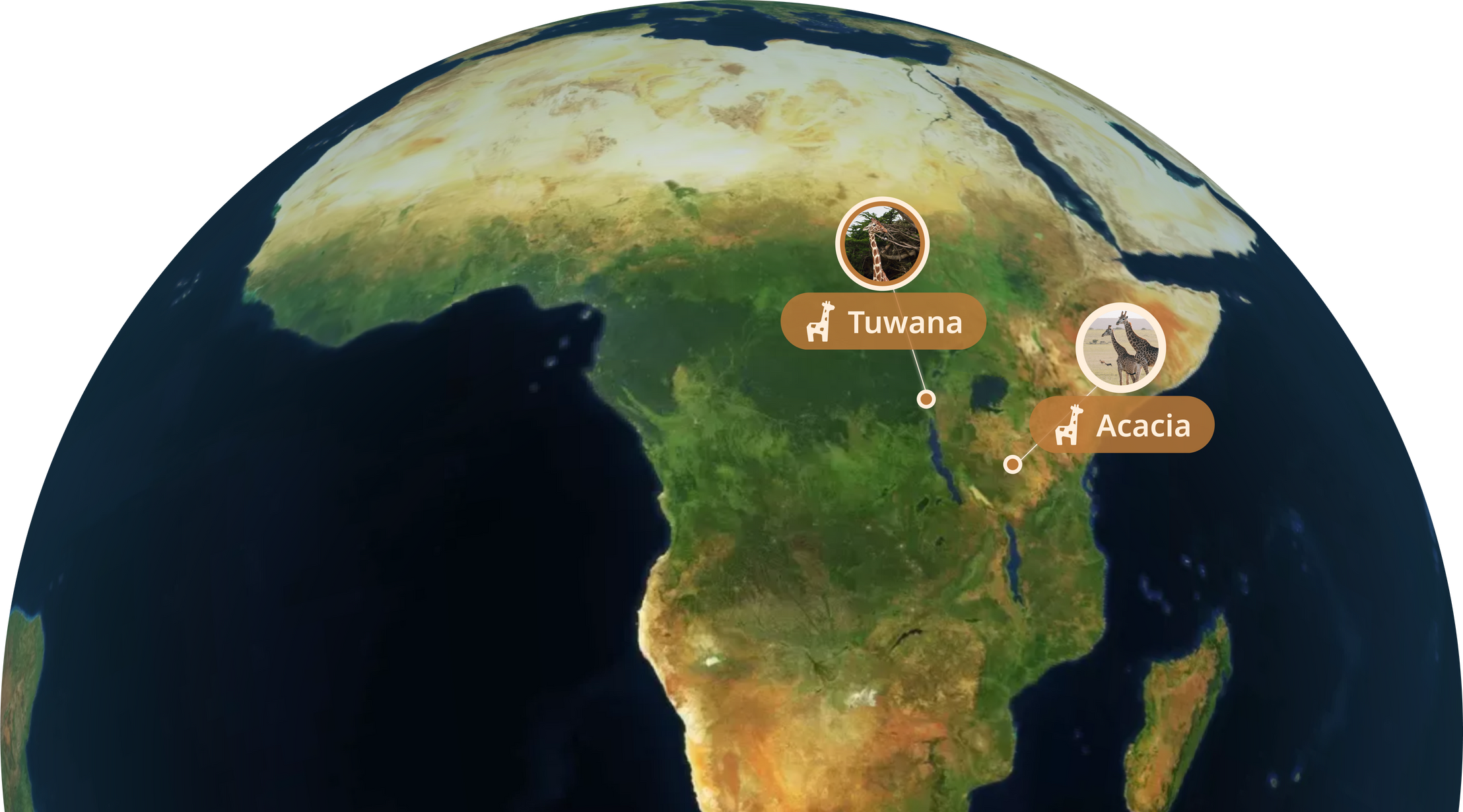 Mission Map
