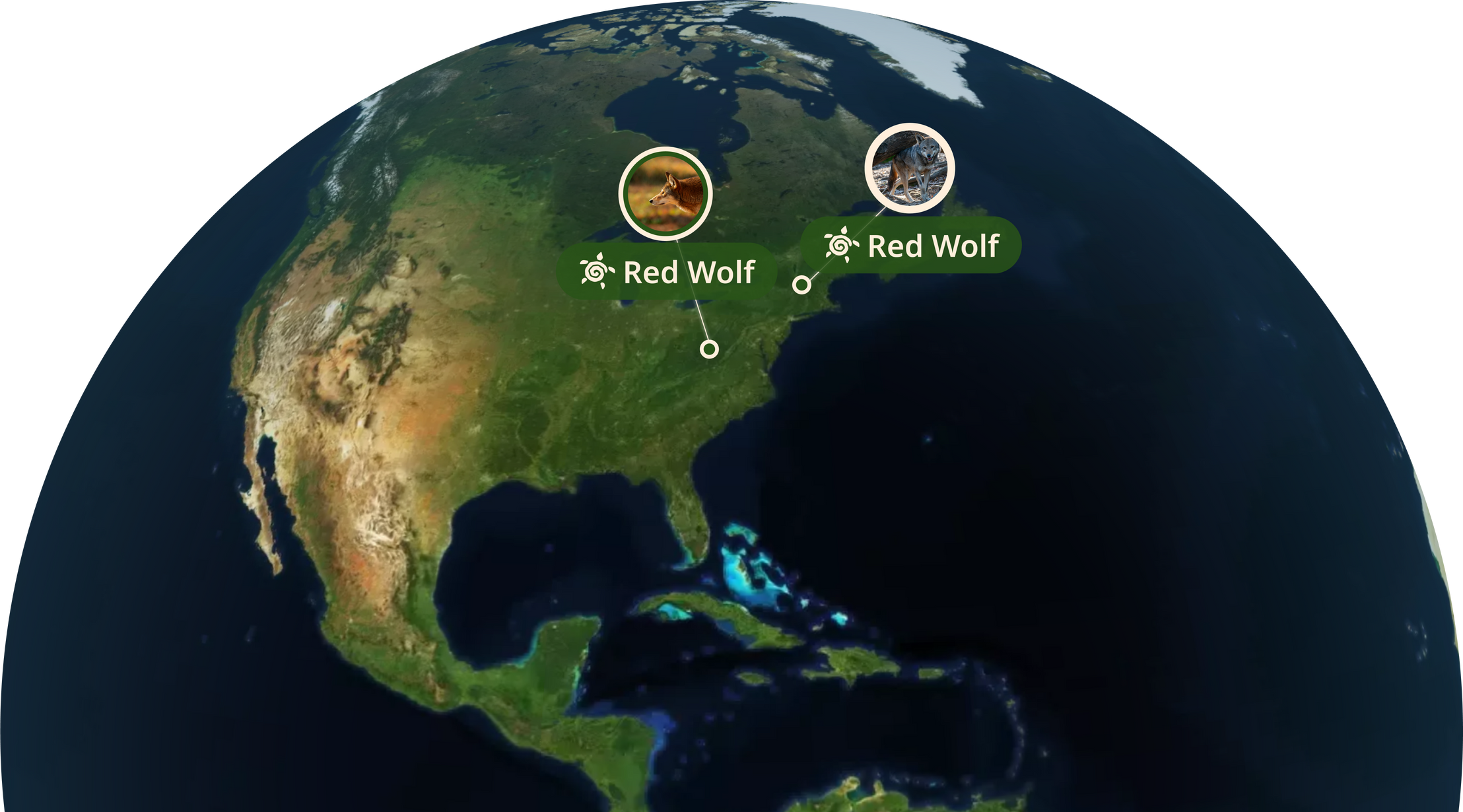 Mission Map