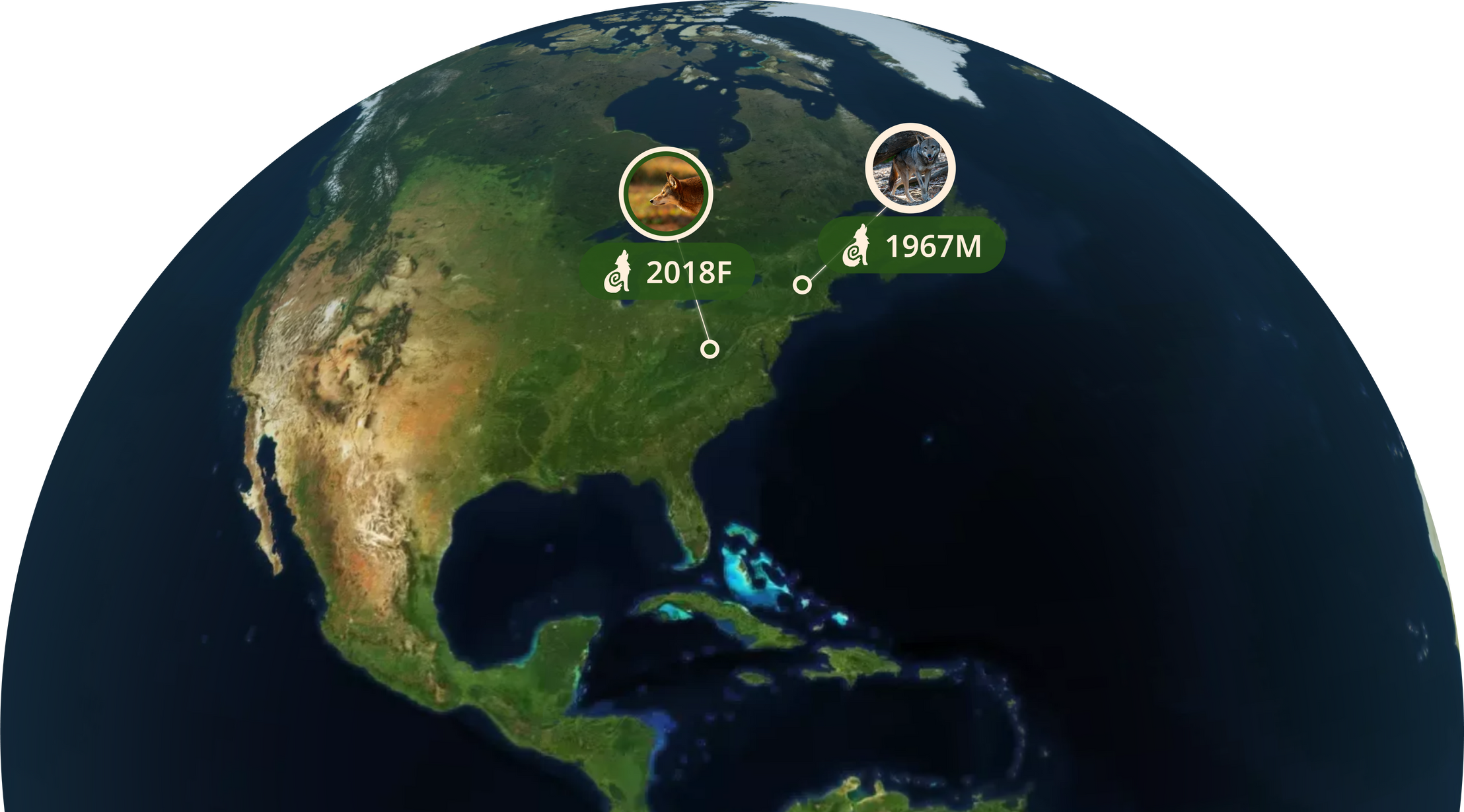 Mission Map