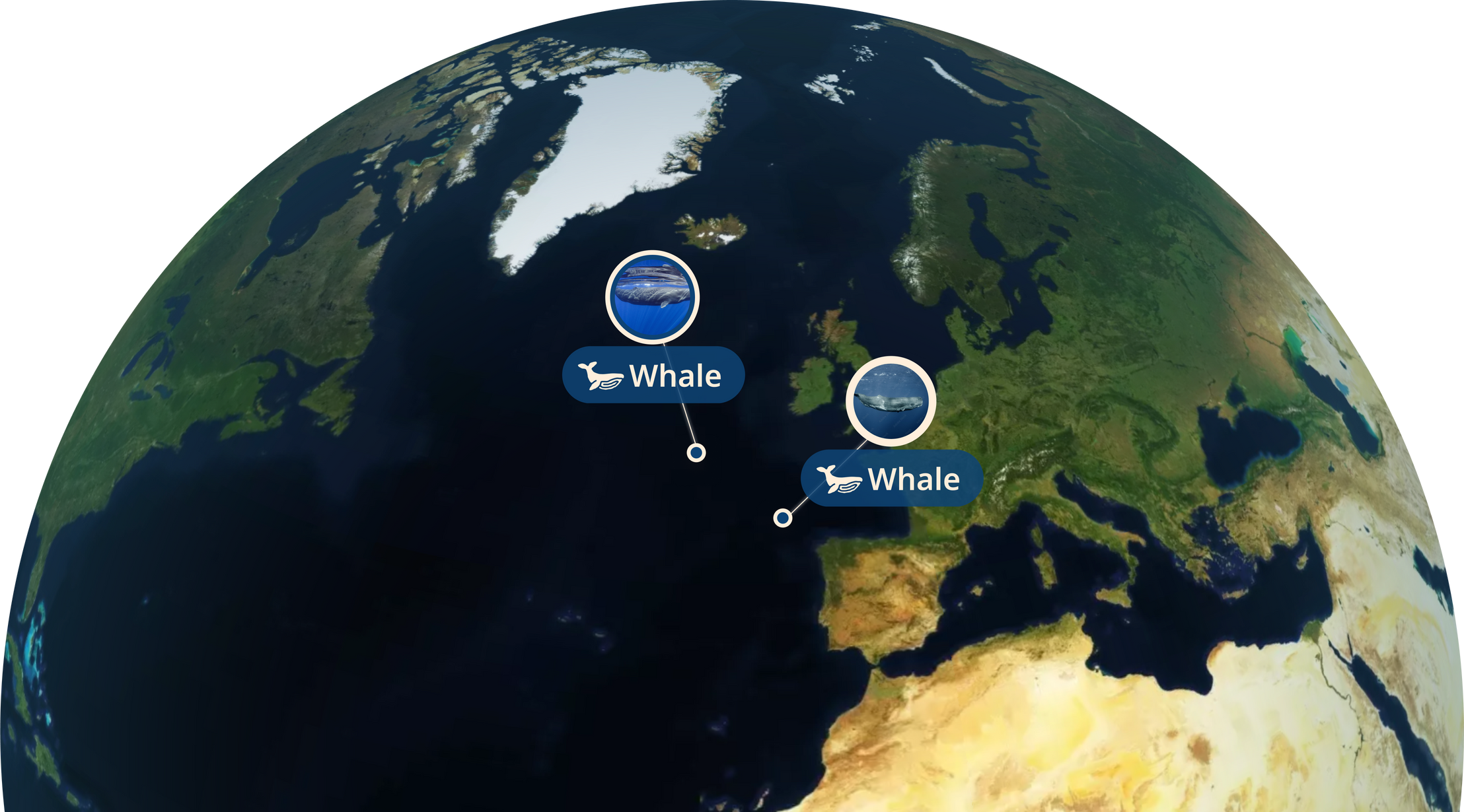 Mission Map
