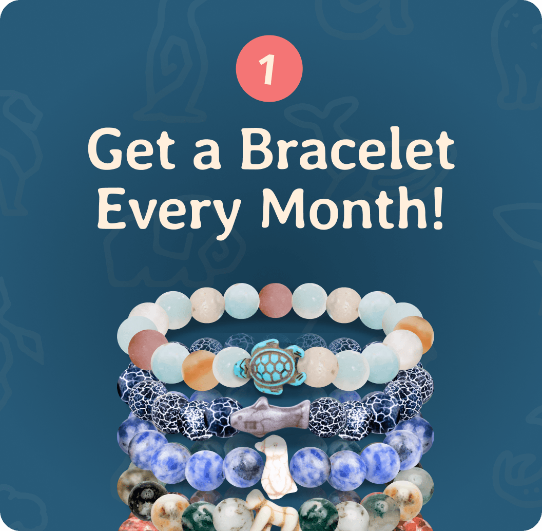 Fahlo Monthly Club - 2