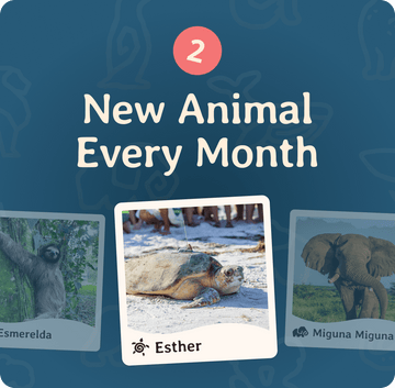 Fahlo Monthly Club