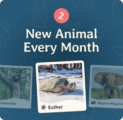 Fahlo Monthly Club
