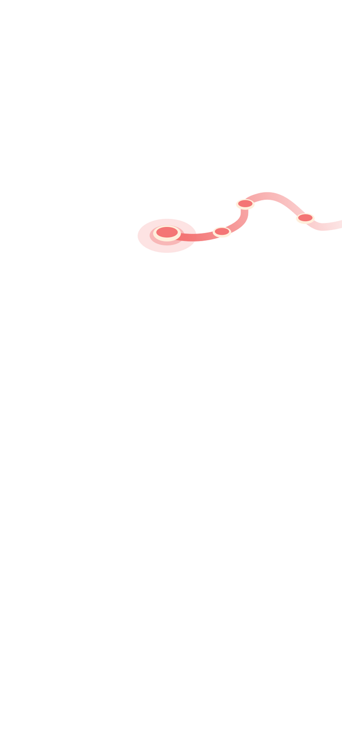 tracking path on world map