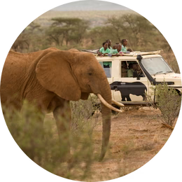 detail caption image four