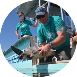 detail caption image one