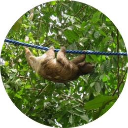 detail caption image two