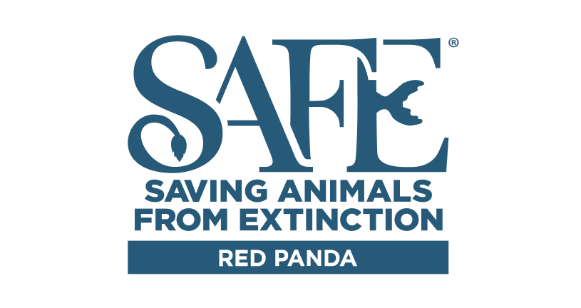Red Panda SAFE Logo
