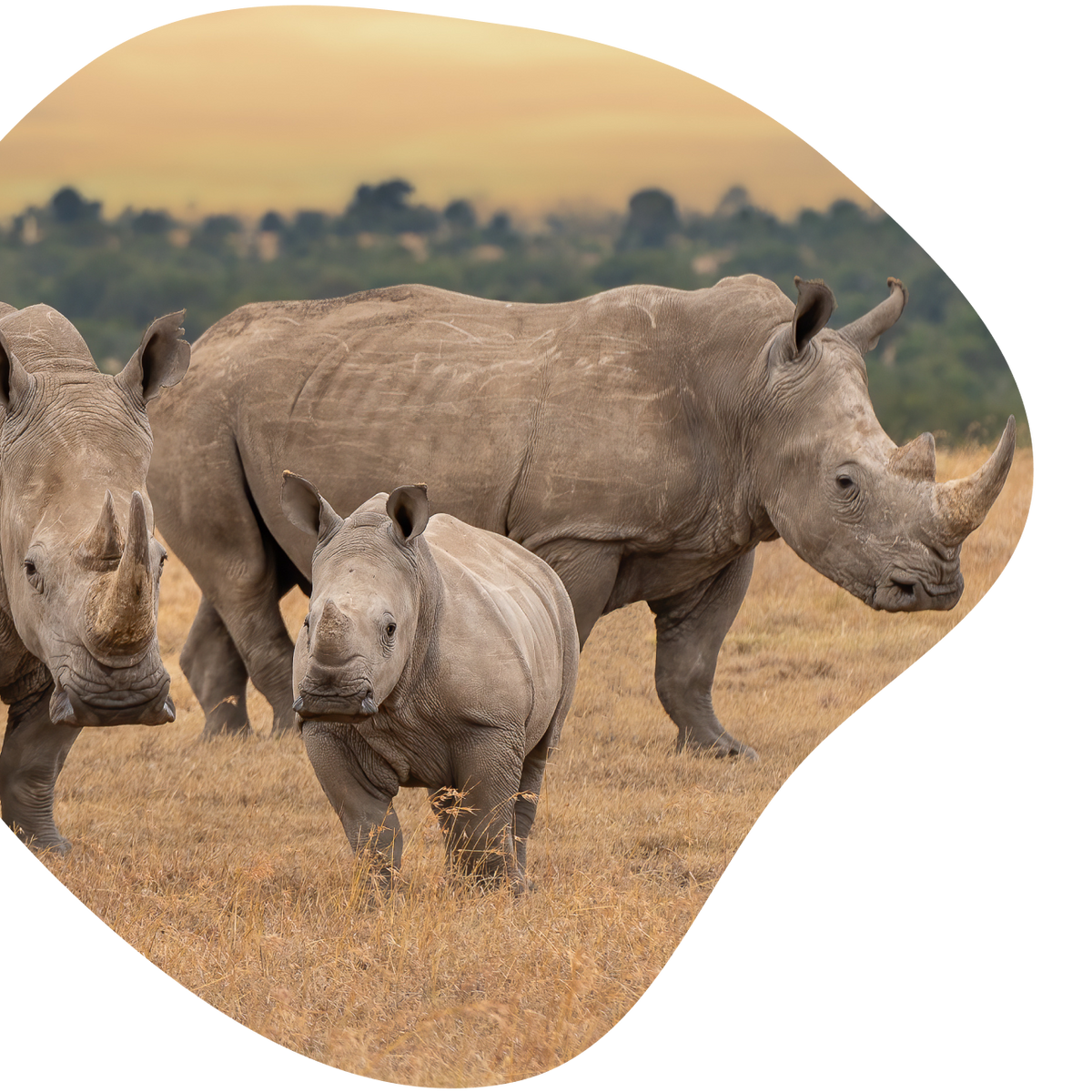 product mission left image