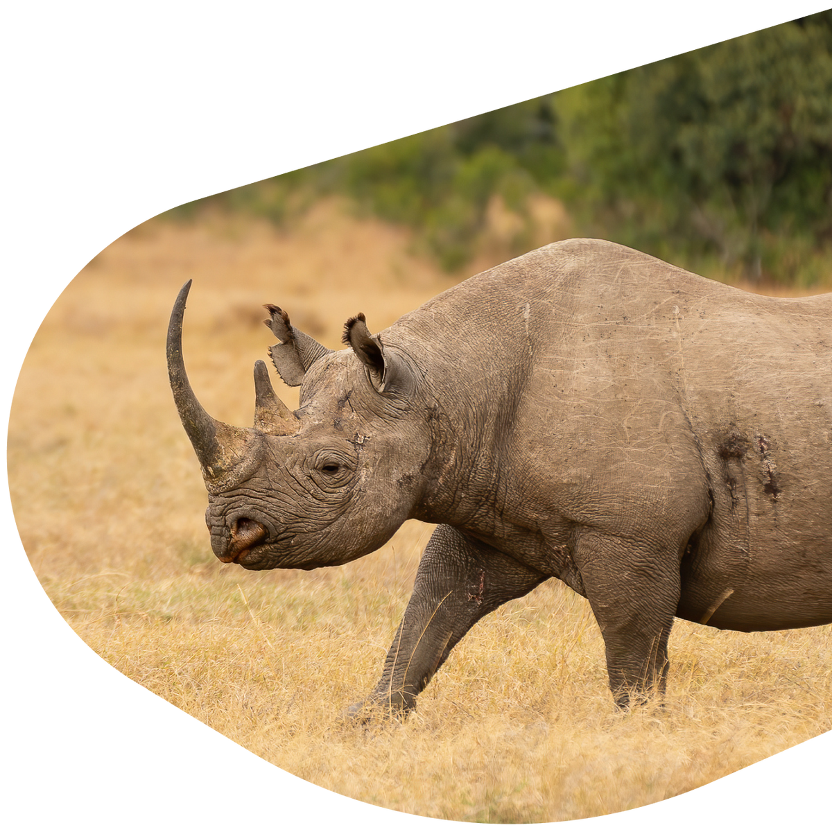 product mission right image