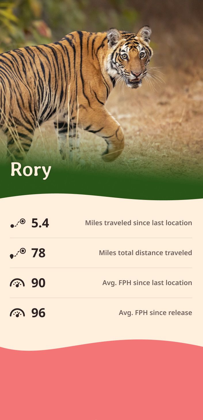 tiger app about content body image