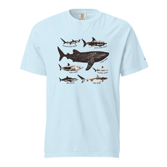 Shark Species T-Shirt (Limited Edition)